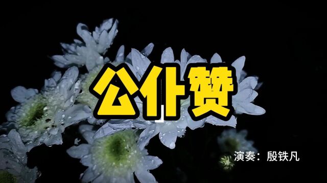 《公仆赞》双排键演奏:殷铁凡