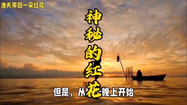 民间传说,民间故事,神秘的红花