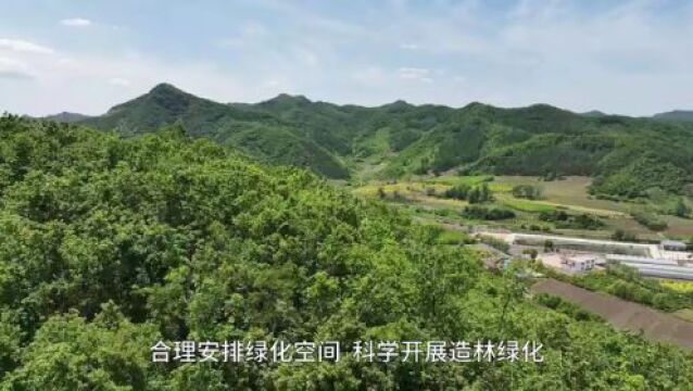 绿满乡村生活美!我市扎实推动绿化造林惠民生