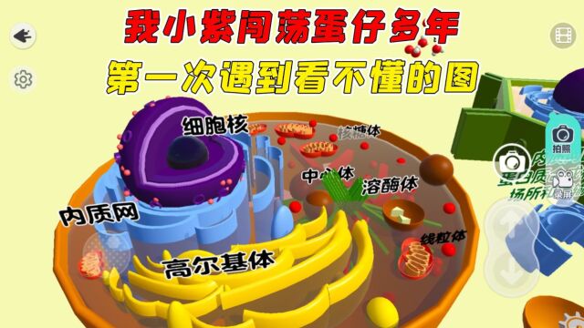 蛋仔派对:把细胞做成乐园图?这图触及了我的知识盲区!