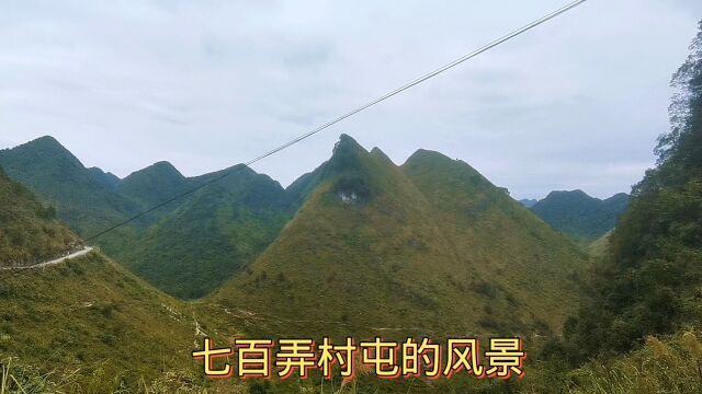 大化七百弄村屯的房子多数是建在深洼地里,没有河流,但风景很美