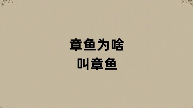 章鱼为啥叫章鱼?