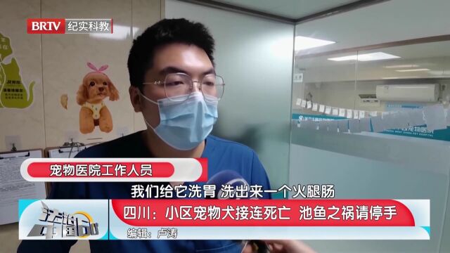 小区宠物犬接连死亡,池鱼之祸请停手,警方仍在啊调查