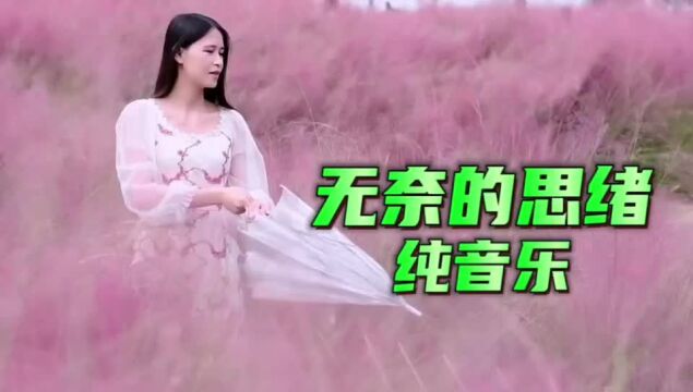 纯音乐《无奈的思绪》你应该会喜欢