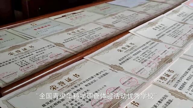 罗平镇中心小学学校简介