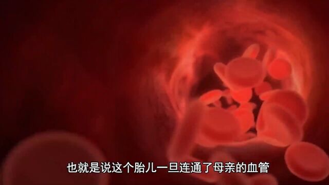 胎盘竟然是无情寄生的另一种生物?一