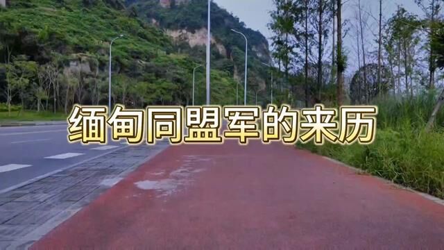 缅甸同盟军的来历是怎样的?