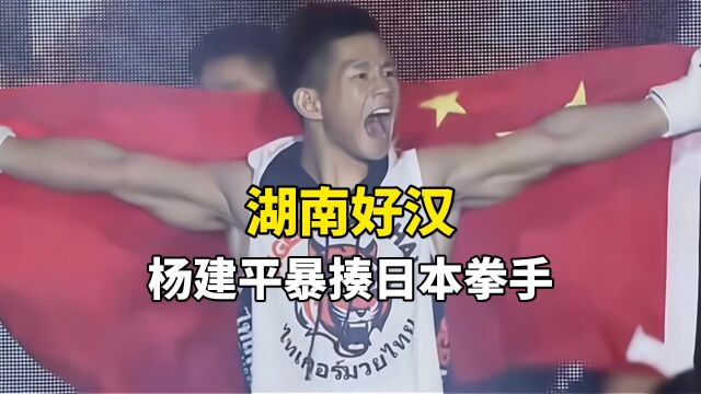 湖南好汉杨建平暴揍日本拳手