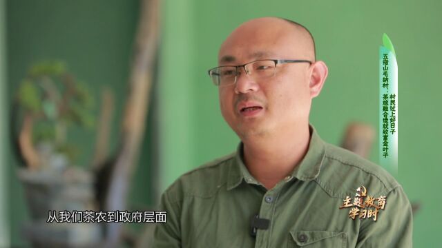 来看这个村是怎么靠一片“金叶子”带村民过好日子的