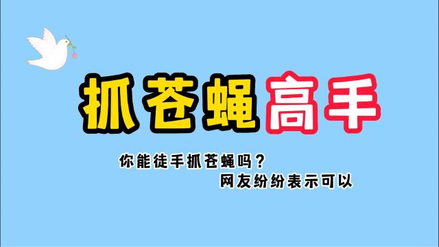 夏天苍蝇无处不在,徒手就能抓苍蝇,你信吗?