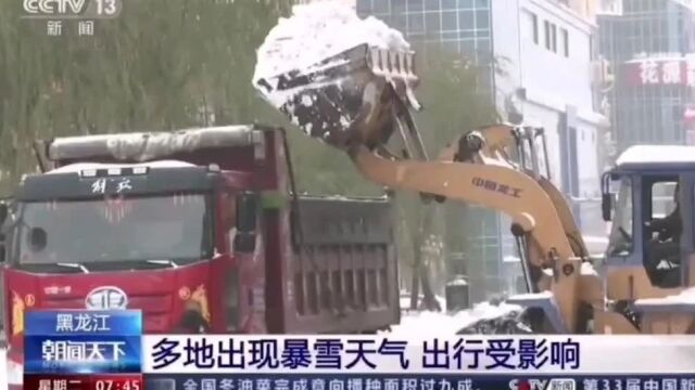 【媒体看鸡西】央视朝闻天下:鸡西市环卫中心1000余人奋战清雪一线,确保道路畅通!