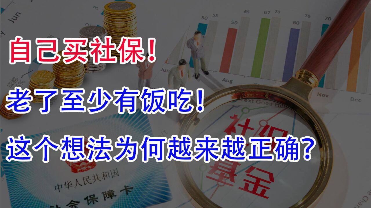 “自己买社保,老了至少有饭吃”这个想法为何越来越正确?