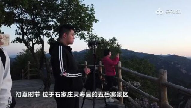 【央媒聚焦】石家庄灵寿:夏季五岳寨 风景美如画