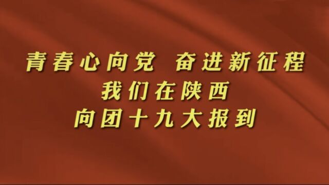 绿色能源公司:青春心向党 奋进新征程 我们在陕西 向团十九大报到