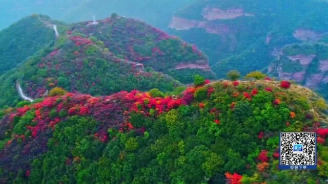 多彩河北“叶”太美|秋末冬初 遇见美如画卷的河北