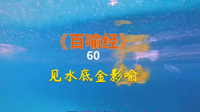 《百喻经》第60集见水底金影喻