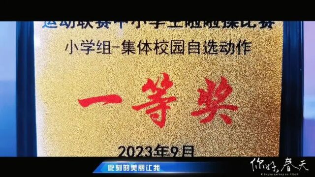 招生公告 | 常德市武陵区平高学校2024年春季招生公告