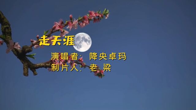 降央卓玛原唱《走天涯》,分享给朋友们,希望大家喜欢