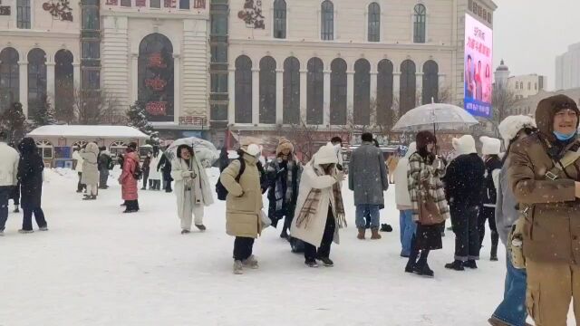 哈尔滨首场冬雪 如约而至~