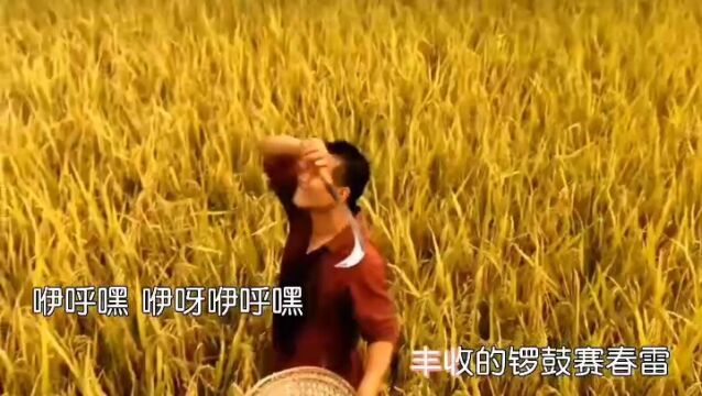 王二妮金曲 第15首《丰收中国》