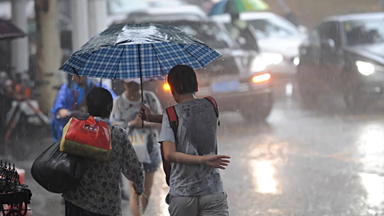 上海发布雷电黄色预警,预计今天白天全市将发生雷电活动