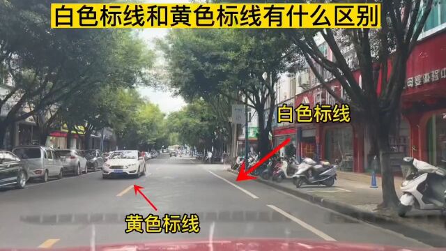 道路上黄色虚线和白色标线有什么区别,很多人搞不懂被扣分