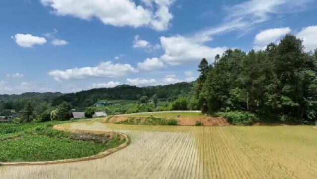 乡村振兴在路上|开阳县高标准农田项目建设进展顺利