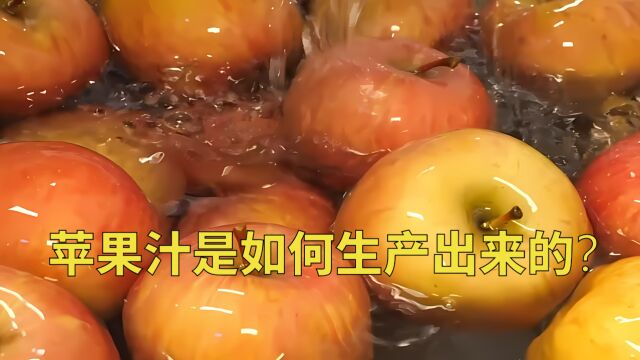 苹果汁工厂是如何生产的?看完你还想喝吗?