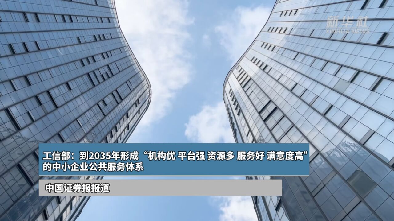 工信部:到2035年形成“机构优 平台强 资源多 服务好 满意度高”的中小企业公共服务体系