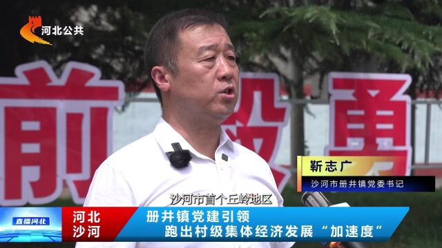 【直播河北】沙河册井镇党建引领跑出村级集体经济发展“加速度”