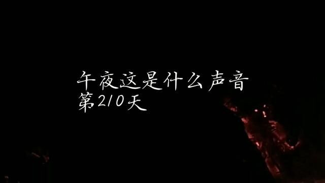 听这是什么在叫 午夜这叫声吓人 钓鱼人超哥荒野钓鱼生活 第210天 #第10天 #视频原声 #无剪辑原声视频