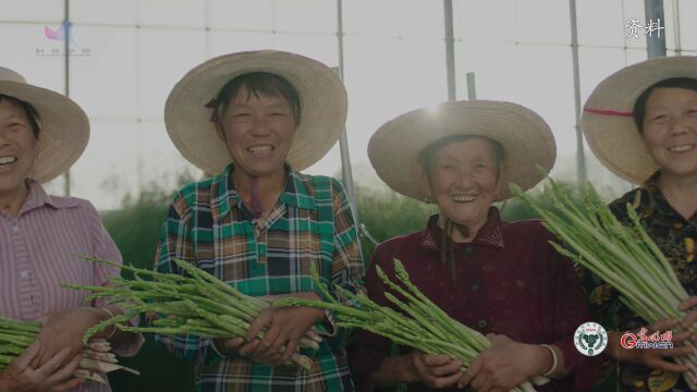 【一线调研ⷧ瑦Š€小院】种在地里的“毕业论文”