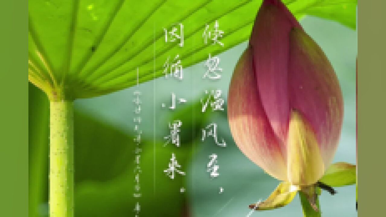 7月7日,我们迎来夏季的第五个节气——小暑.愿你在这个小暑,寻一处清凉、度一场清欢,一起享受美好的夏天吧