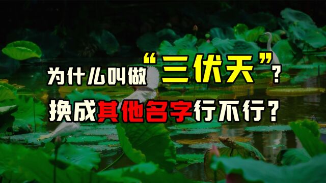 为什么要叫做“三伏天”?如果换成其他的名字,行不行?