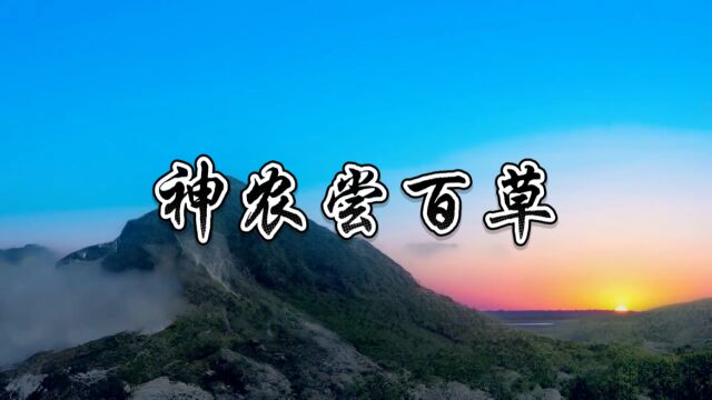 炎黄子孙都应该知道的66个上古神话传说——神农尝百草