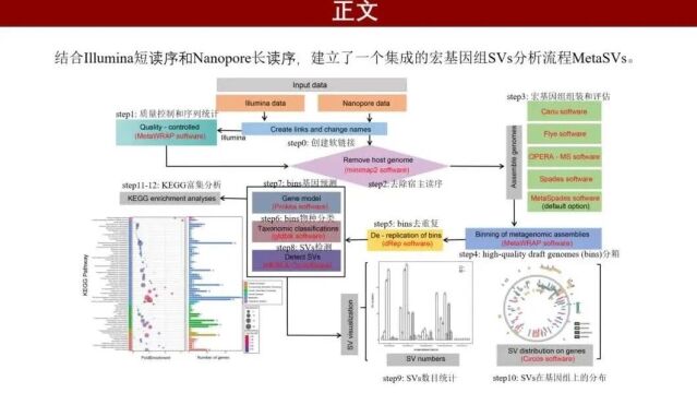 iMeta | 中科院微生物所王军组MetaSVs:结合长、短reads用于宏基因组结构变异分析和可视化流程