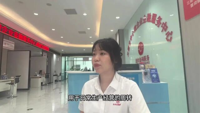 流动资金贷款