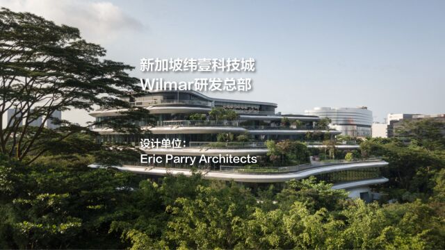 新加坡纬壹科技城Wilmar研发总部 | Eric Parry Architects