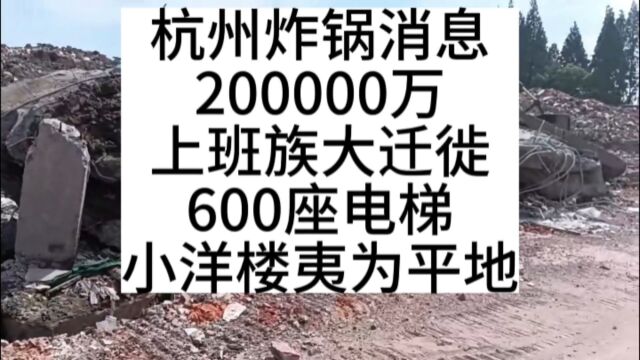 杭州炸锅消息,200000万上班族大迁徙,600座电梯小洋楼夷为平地