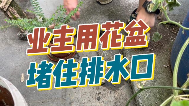 居民总拿花盆堵排水口,劝了好几次都没效果,我该怎么办?