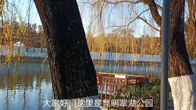 昆明翠湖公园,周末好去处