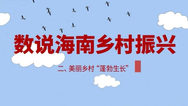 美丽乡村“蓬勃生长”!数说海南乡村振兴系列动画→