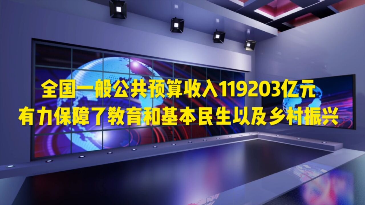 全国一般公共预算收入119203亿元,保障乡村振兴等支出持续发力