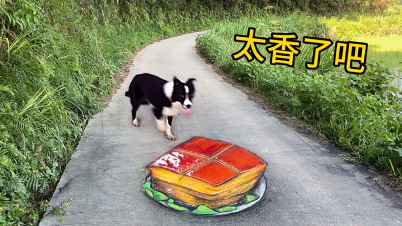 在马路上画块五花肉,狗看到会有啥反应?