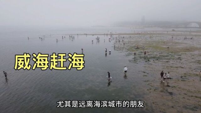 山东威海赶海,海边全都是人,看看都抓到了些啥东西?