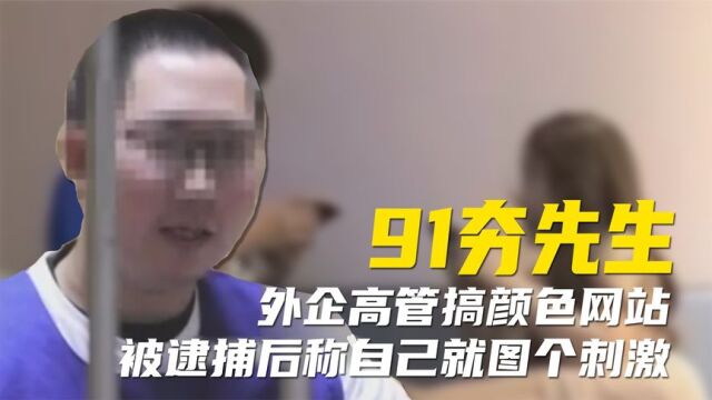 外企高管涉黄开网站,被判11年后表示:不图钱,只求个刺激