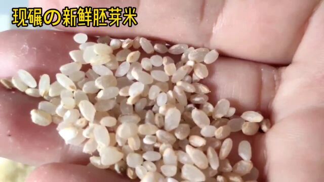 现碾胚芽米特别适用于婴幼儿、青少年、孕妇、哺乳期宝妈们