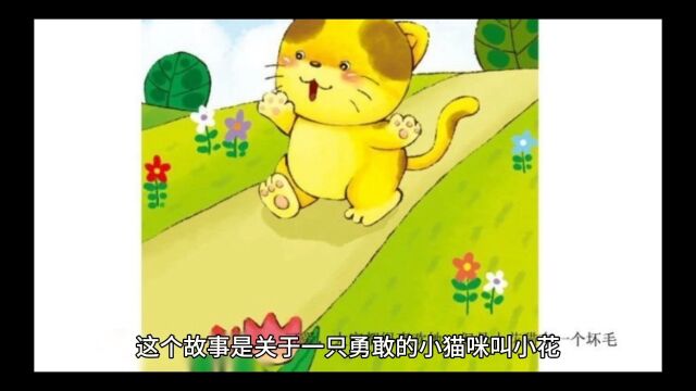 睡前故事:勇敢的小猫咪