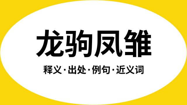 “龙驹凤雏”是什么意思?