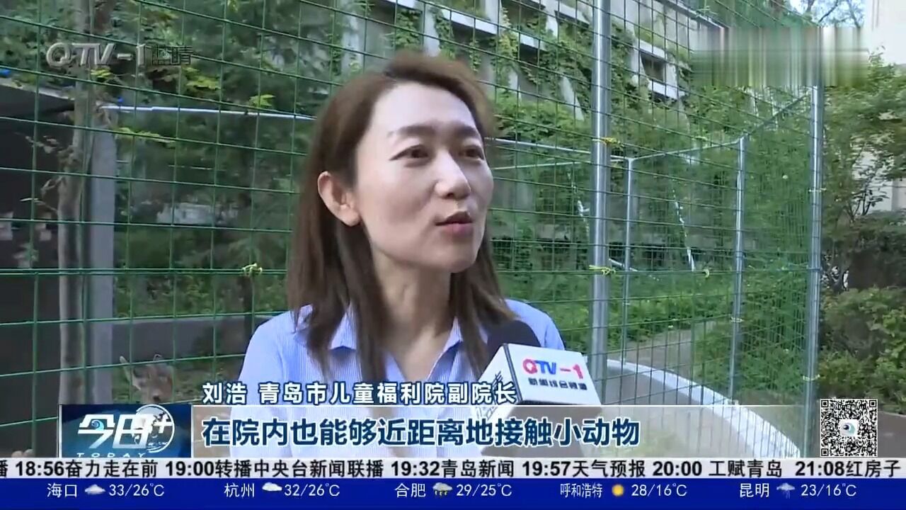 爱心市民赠送两只梅花鹿,儿童福利院有了萌宠世界